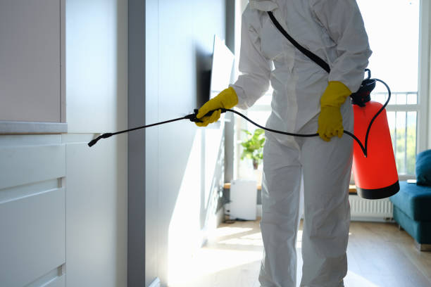 Professional Mold Remediation in Edgerton, KS