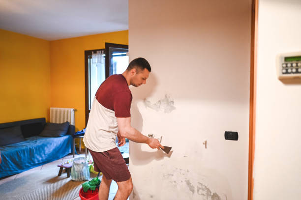 Best Kitchen Mold Remediation in Edgerton, KS